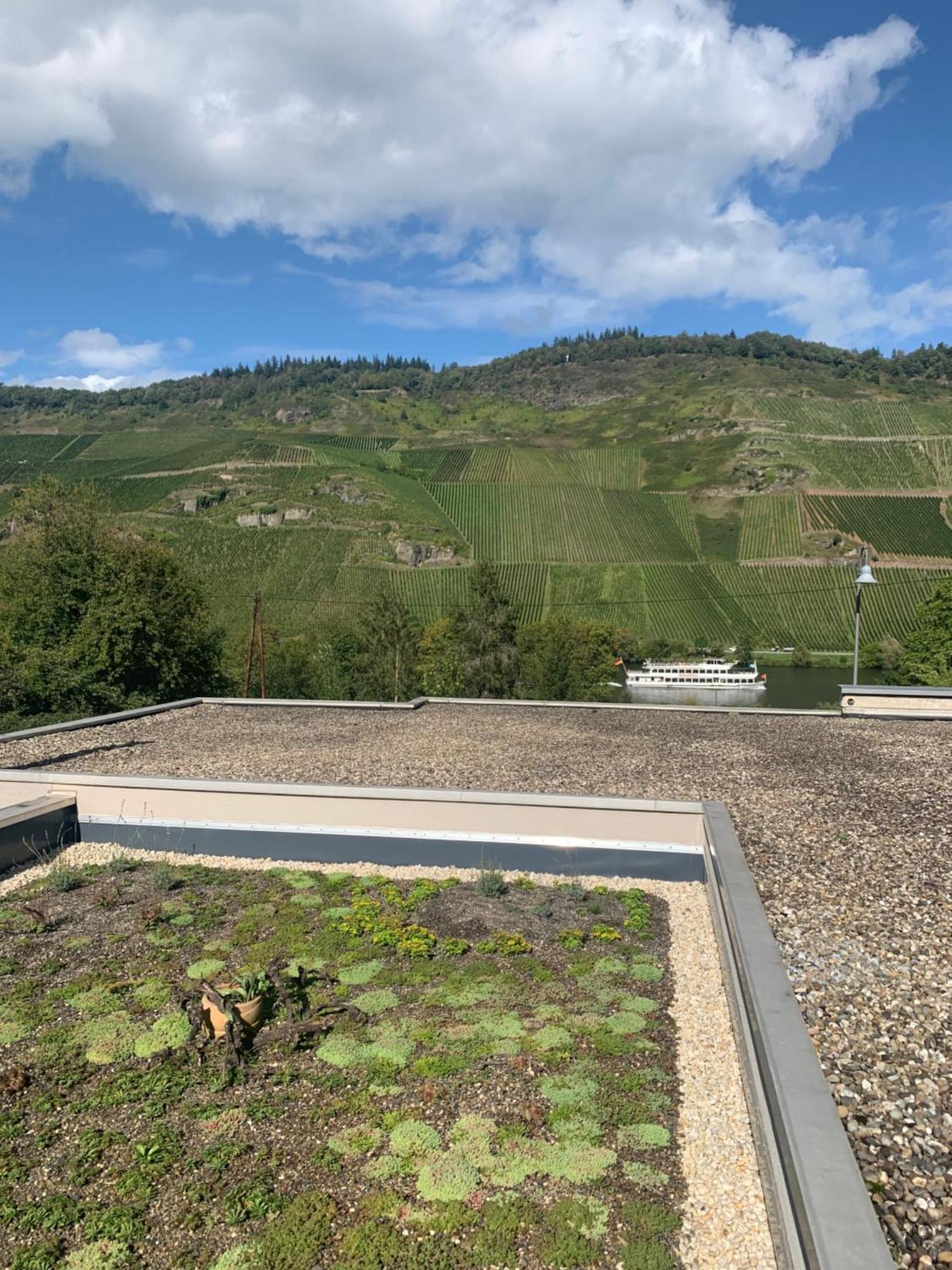 Apartamento Weinrebe Bernkastel-Kues Exterior foto