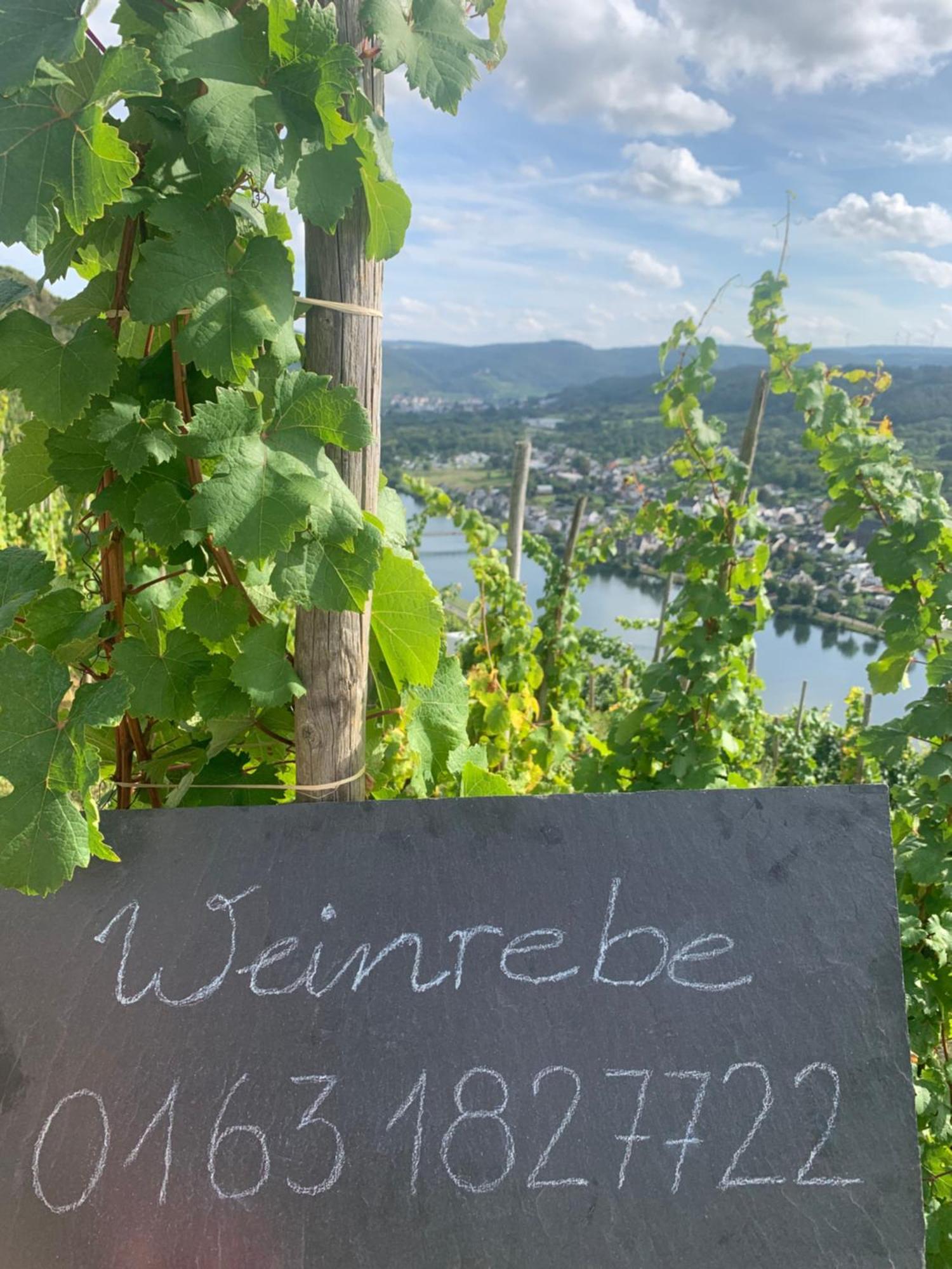 Apartamento Weinrebe Bernkastel-Kues Exterior foto